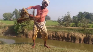 How To Catch Fish With Jaal Jaal Fekne Ka Tarika Muhammad Farhan 