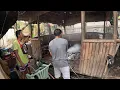 Download Lagu MILYON NA ANG HALAGA | BUHAYIN ANG MAHIWAGANG KUBO