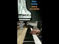 Roberto Cacciapaglia   Tema Celeste