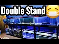 40 gallon Breeder Aquarium Racking Double Stand