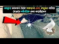 Download Lagu আল্লাহর আদেশে মাকড়সা যেভাবে জাল বুনে নবীজিকে রক্ষা করেছিল || জাবালে সাওর || Jabal E Soor