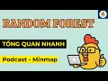 Random Forest la gi Tom tat bang Mindmap cho Beginner