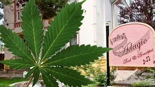 Bud Breakfast Cashes in on Weed Tourism in Colorado