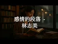 林志美 - 感情的段落