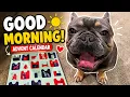 Good Morning