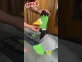 My wife got a PORCH GOOSE