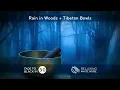 Black Screen Rain in Woods + Tibetan Bowls | Relax, Study or Sleep with White Noise Music