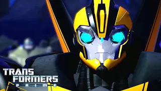 Transformers Prime Predacons Rising COMPLETE FILM Animation Transformers Official 