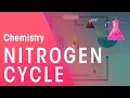 The Nitrogen Cycle Environmental Chemistry Chemistry FuseSchool
