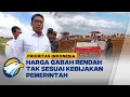 Download Lagu Wamentan Soroti Anjloknya Harga Serapan Gabah  - [Prioritas Indonesia]