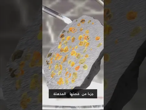 النيازك: نوافذ على باطن الكواكب وتاريخ الكون القديم! #السعودية #العراق #المغرب #الجزائر #مصر