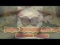 Download Lagu Satu hati sampai mati karaoke reggae