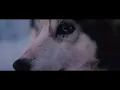 ZUNA - MELE7  prod. by Staticbeatz & BarNone (Official 4K Video)