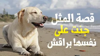 قصة مثل جنت على نفسها براقش اكتشف السبب وراء هذا المثل الشهير لكم 