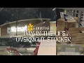 Day In My Life Walmart Edition Overnight-Stocker WOLLY-WORLD EPI 2