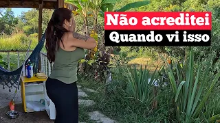 COMEÇANDO A TRANSFORMAÇÃO DO SÍTIO