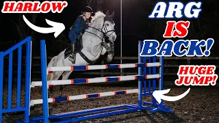 Download HARLOW JUMP'S ARG!! WOW! TOP TRACK 138CM SHOWJUMPING PONY MP3