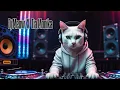 Download Lagu Dj Meong X Tia Monika