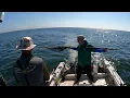 2025 San Francisco Salmon Fishing - Sep Season Day 2