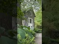 Download Lagu Nieuw in ARTIS in 2025