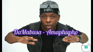 damabusa amaphupho complet version