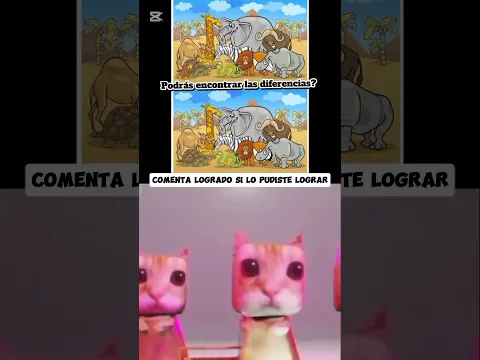 NÍVEL FÁCIL ❗#memes #youtube #gatos #xd #parati