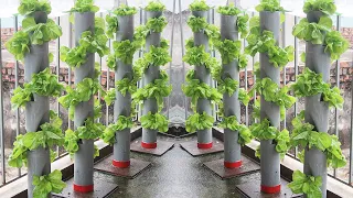 Download Automatic Watering Stand Garden Idea _ Recycling PVC Pipe Makes Beautiful Cegetable Garden Clean MP3