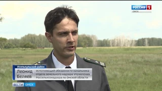 Перепутали кладбище со свалкой
