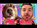 Life with Chester - The Piggy s Playful Side Is Here