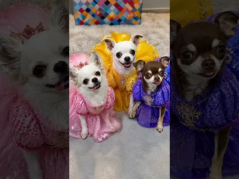 QUANDO A MÃE NÃO TÁ EM CASA