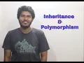 5 Inheritance and Polymorphism - JAVA
