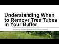 GGB Understanding When to Remove Tree Tubes in Your Buffer