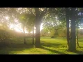 pxlse - i feel so weightless