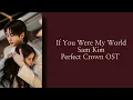 If You Were My World - Sam Kim- Perfect Crown OST - Lirik terjemahan Indonesia