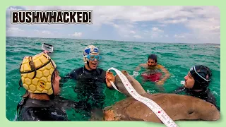 "Doctor Dugong" Performs Medical Examination 😂 | Bushwhacked! (S2 E07 - FULL EPISODE)