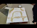 Chladni Plates Experiment TIME LAPSE x32
