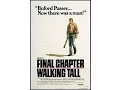 Lagu Walking Tall - The Final Chapter (1977)