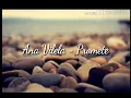 Ana Vilela - Promete🎶 (letra)