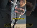 Download Lagu Horse Tranq Side Effects #addiction #thestreets #addict #viral