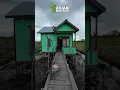 Download Lagu KEHIDUPAN WARGA TRANSMIGRASI BARU SP10 JALUR 3 TANJUNG BUKA, BULUNGAN, KALIMANTAN UTARA