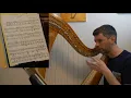Adapting Tournier's "Noel" for lever harp. Harp Tuesday ep. 134
