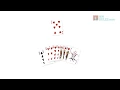 How to play the card game 500 500Rules com