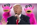 Download Lagu DONALD TRUMP : The Muppet Show Mashup