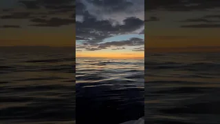 Amazing how fast the ocean calms after a storm