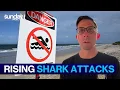 EXPLAINED Why Shark Attacks Are Increasing in Australia