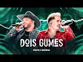 Felipe \u0026 Rodrigo - DOIS GUMES | DVD Velhos Hábitos