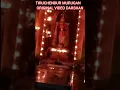 Download Lagu Tiruchendur Murugan Original Video Darshan #murugan_whatsapp_status #murugantemple #lordmurugan