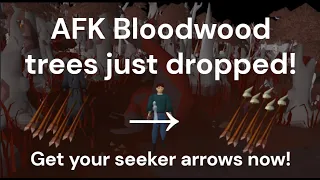 Afk seeker arrows guide