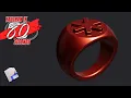 Plasticity Model a Ring