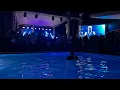 Download Lagu Sugar Ray- Every Morning (Pool Party at Yamava- LIVE 2025)